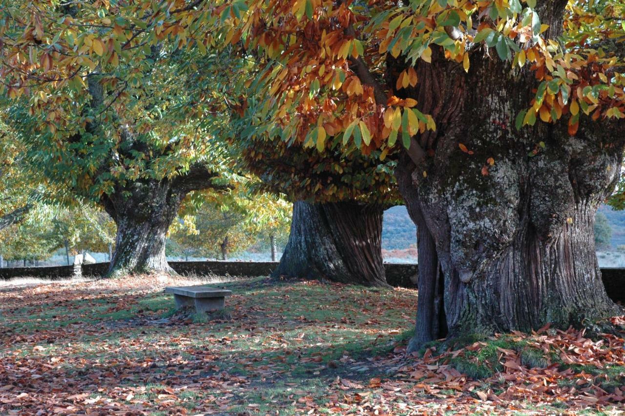 הוילה Villarino de Sanabria La Era De Sanabria מראה חיצוני תמונה