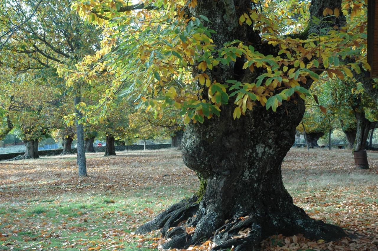 הוילה Villarino de Sanabria La Era De Sanabria מראה חיצוני תמונה